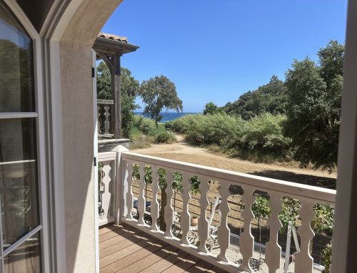 Chambre d’hôtes à Cavalaire-sur-Mer : séjournez au Clos des Sept Palmiers entre mer et sérénité